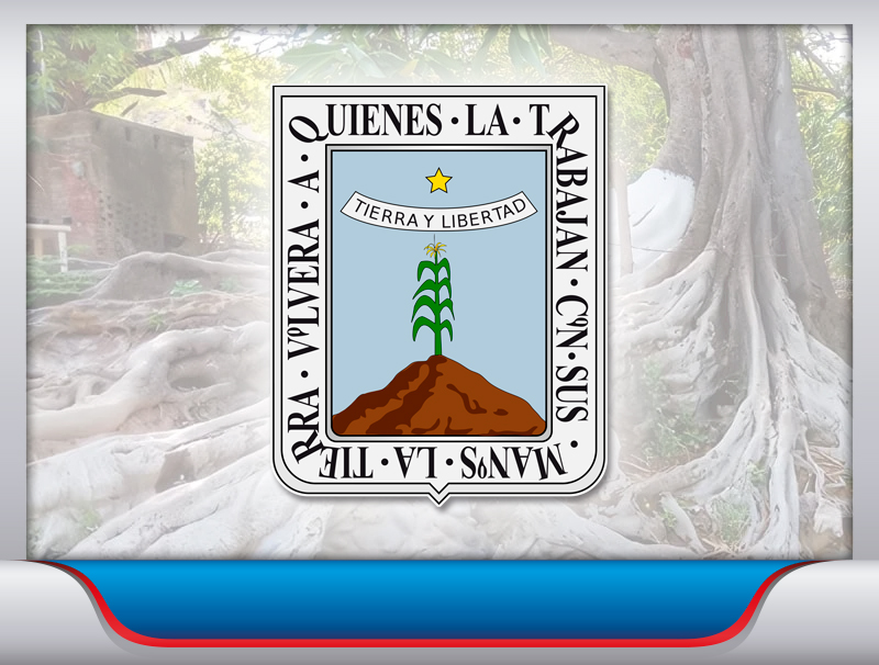 Fletes a Morelos